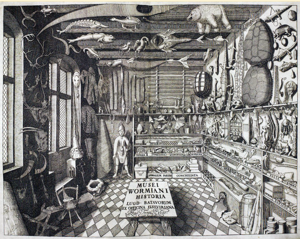 Ole Worm's cabinet of curiosities, from ''Museum Wormianum'', 1655. Original source from: 