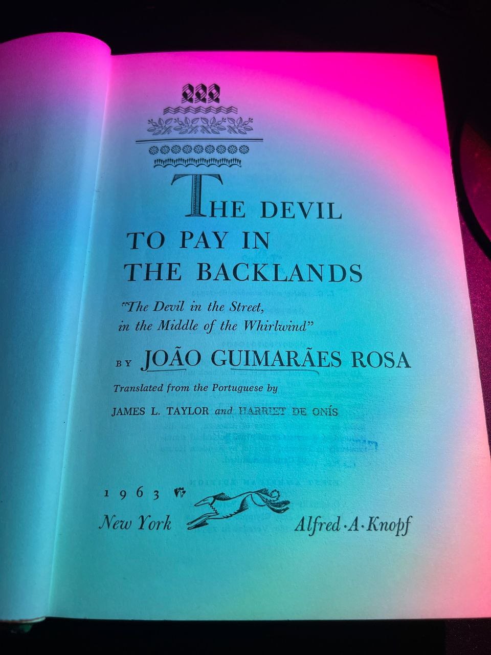 My rare (previously discarded!) copy of "The Devil to Pay in the Backlands" by João Guimarães Rosa 